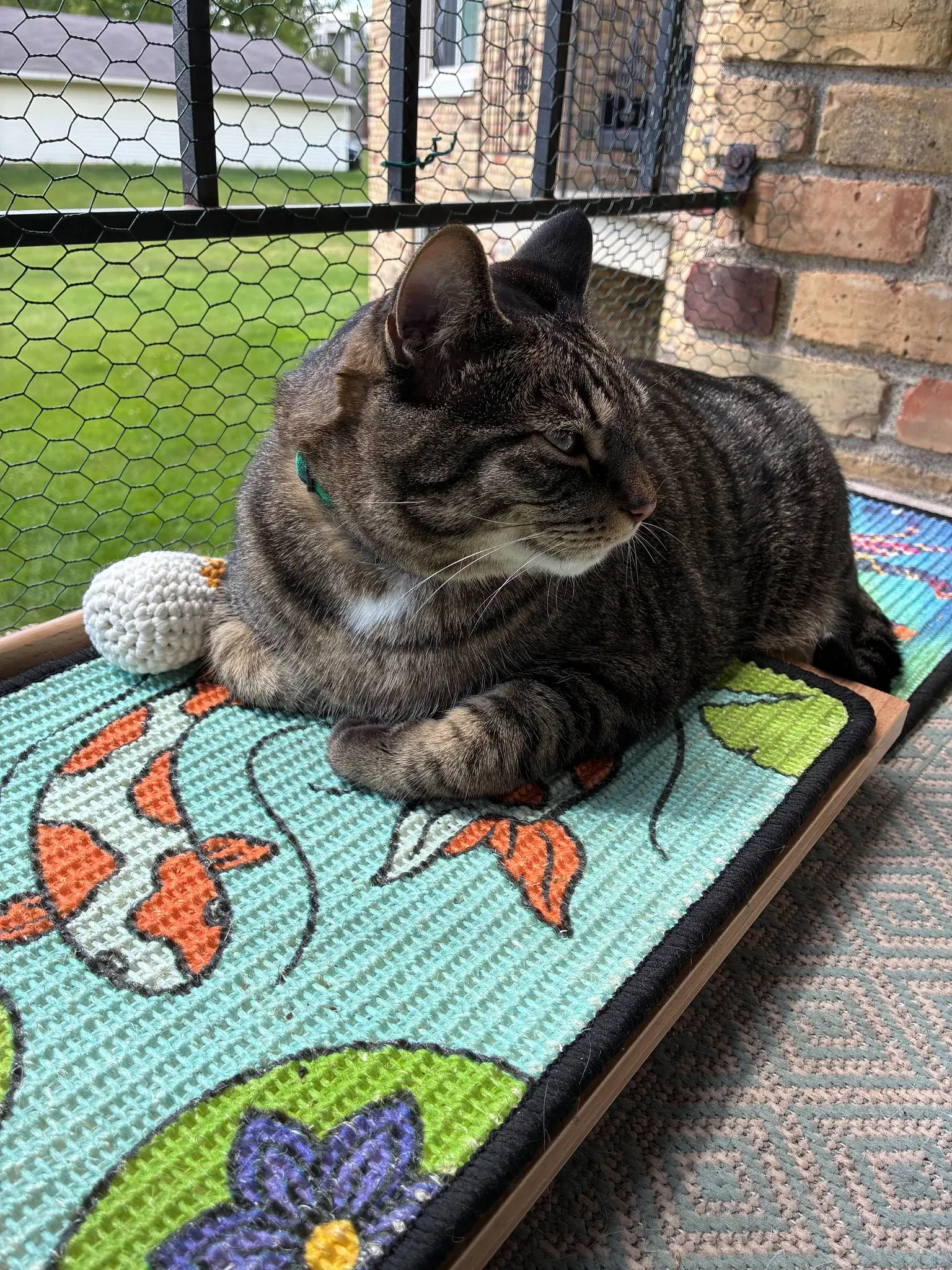 Tabby cat resting on a textured Koi scratch panel displayed at a low angle on a wooden easel.