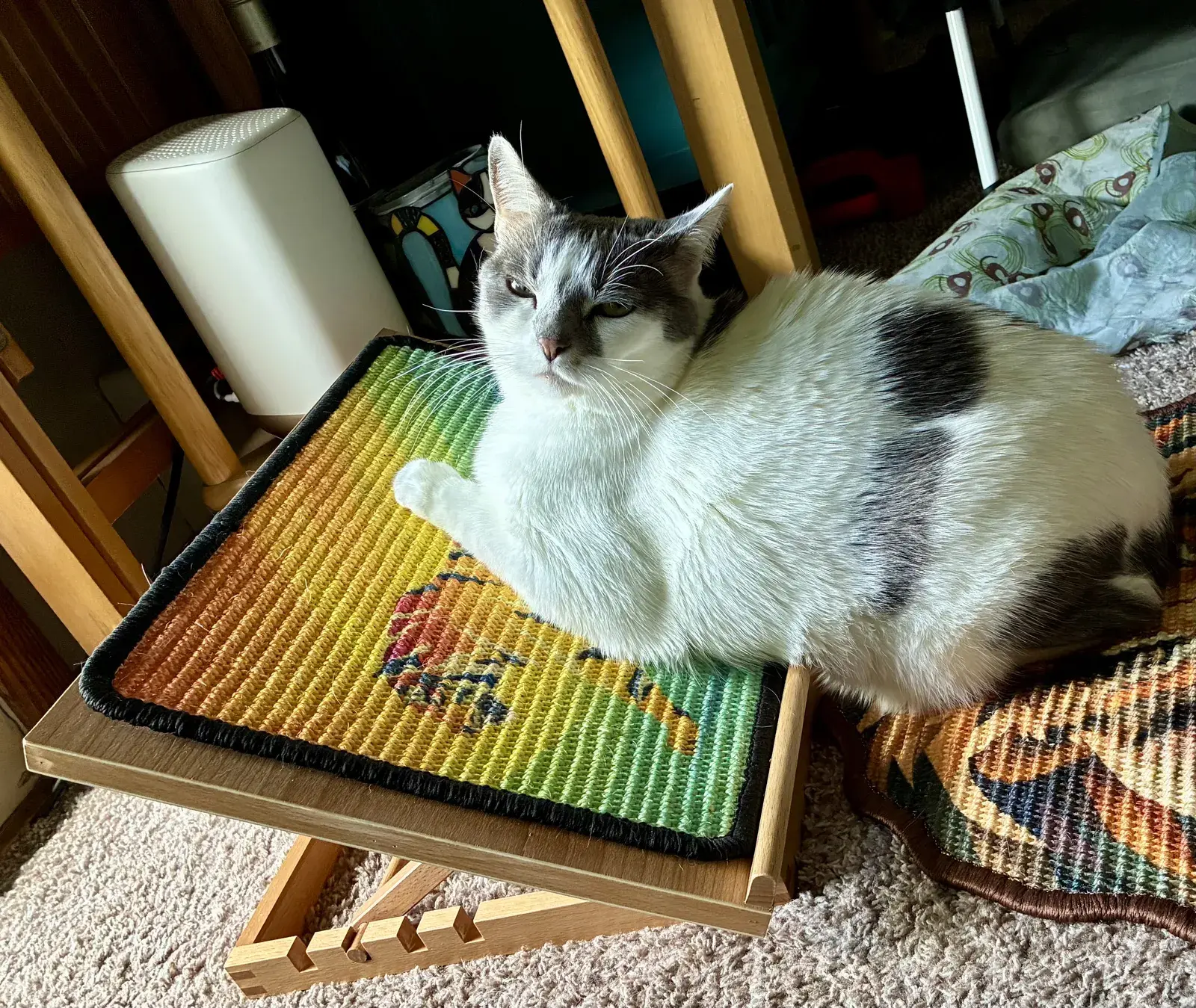 Gray-and-white cat resting on the Tiger scratch panel displayed on a low wooden easel.