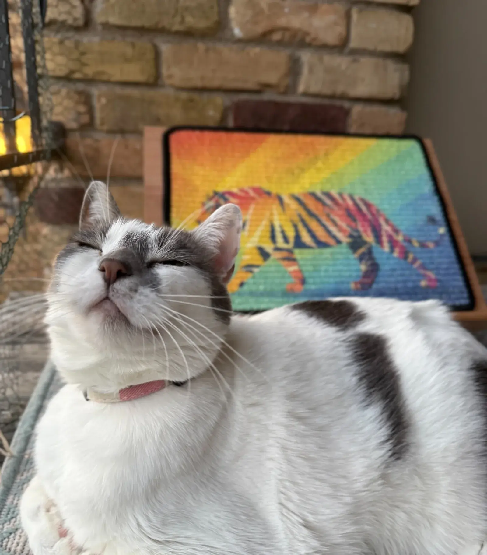 Gray-and-white cat resting in front of a Tiger Scratch Canvas displayed on a wooden easel.