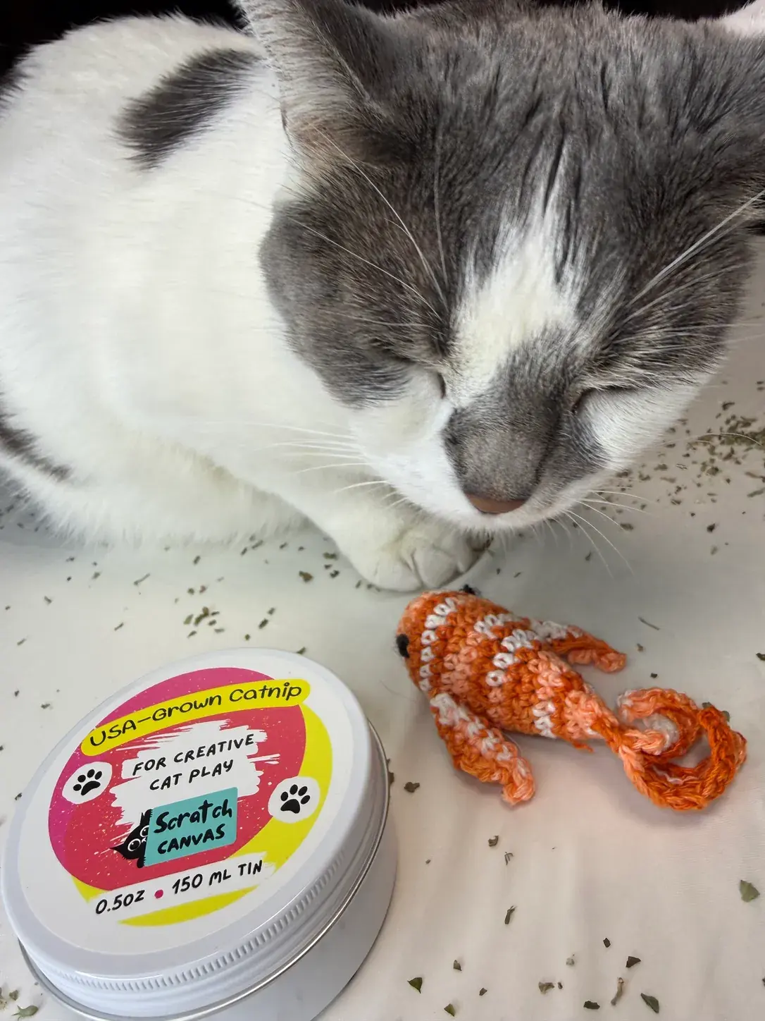 White and gray cat smelling a crocheted koi toy beside a Scratch Canvas catnip tin.