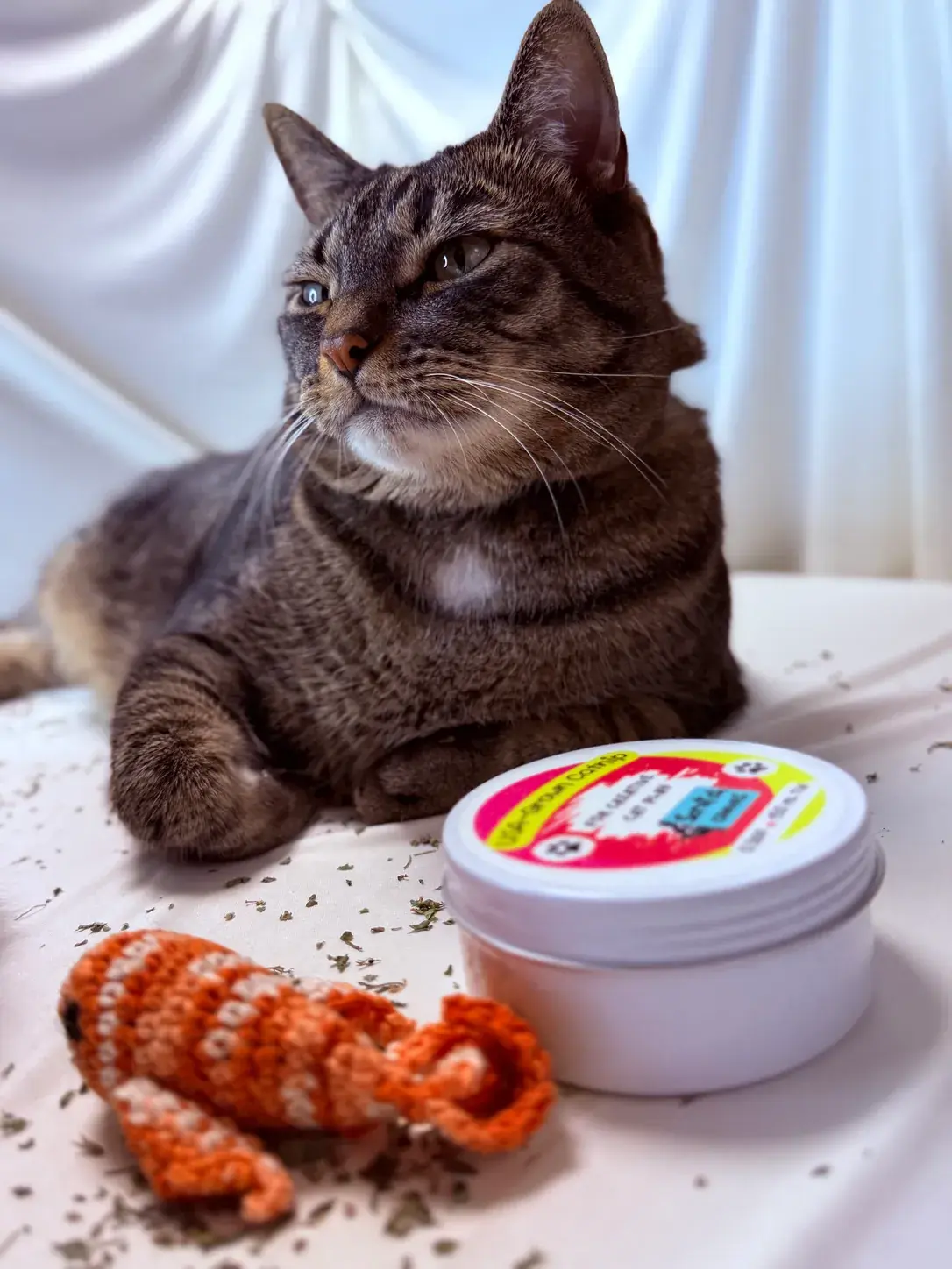 Tabby cat beside a Scratch Canvas catnip tin and crocheted koi toy.