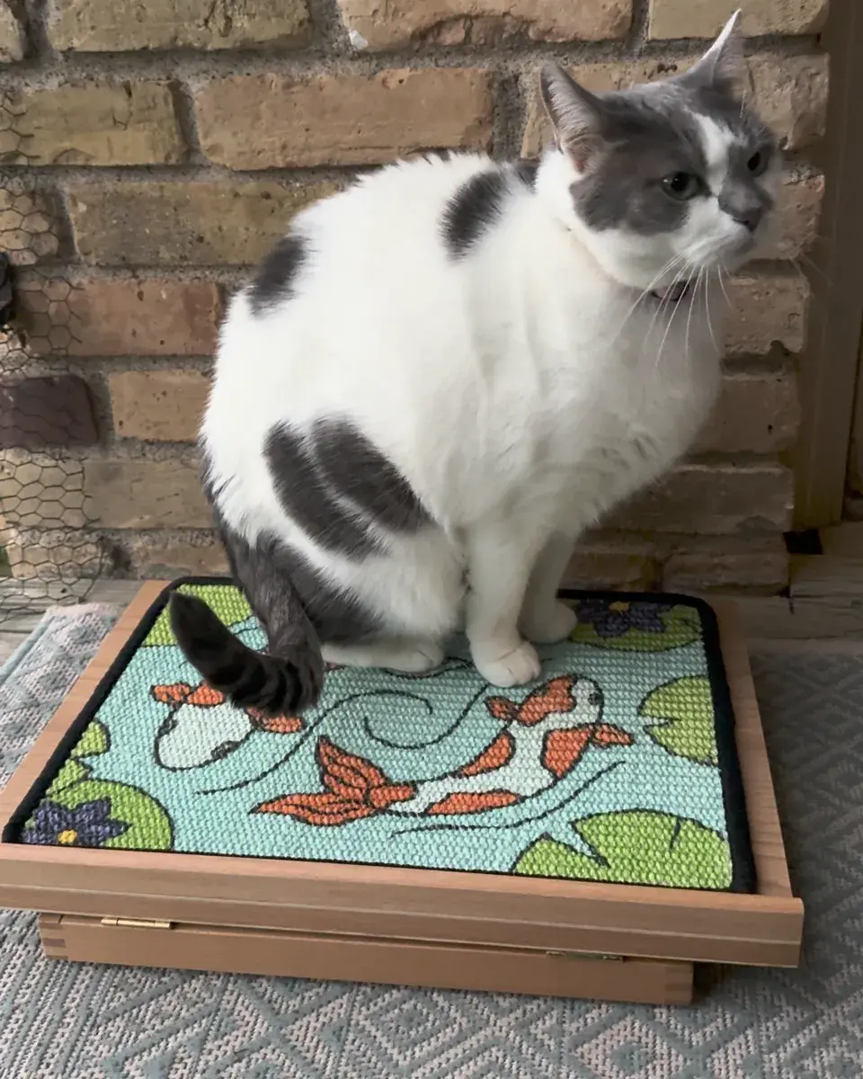 A gray-and-white cat sitting on the Koi Scratch Canvas lying flat on a rug.