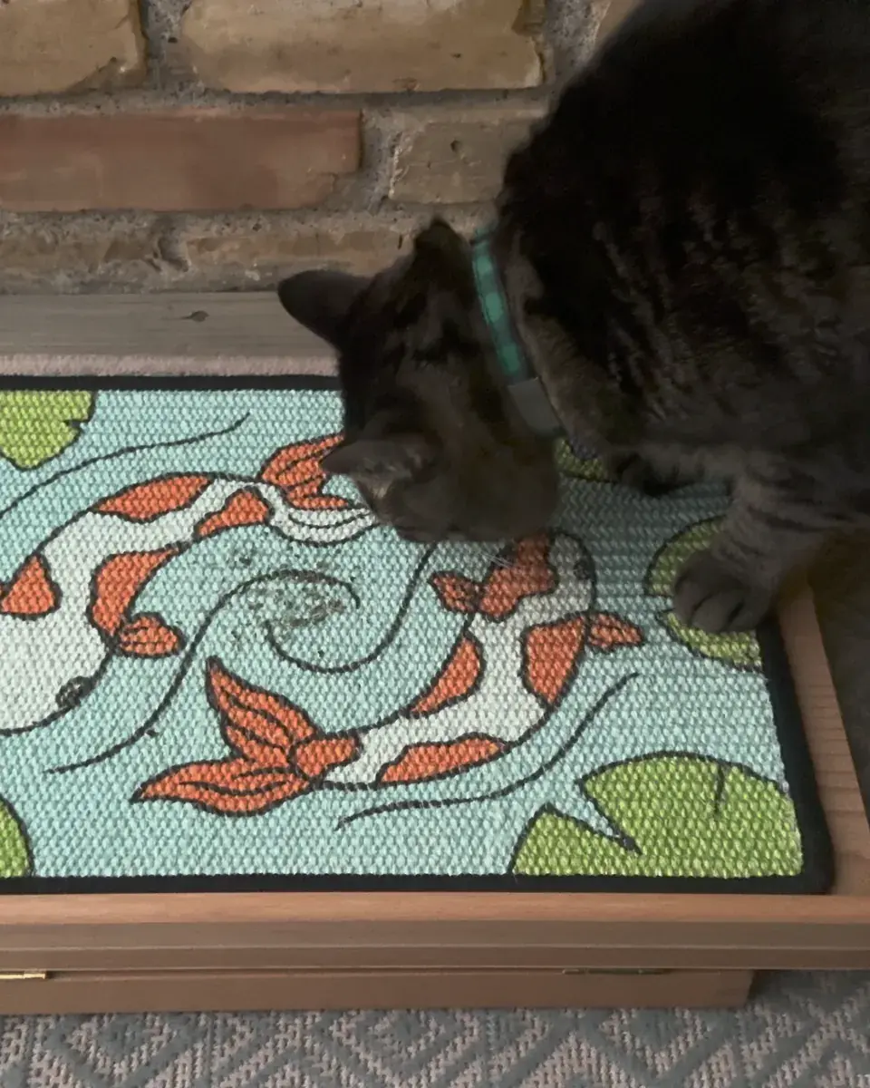 A tabby cat sniffing a little catnip sprinkled on the Koi Scratch Canvas lying flat.